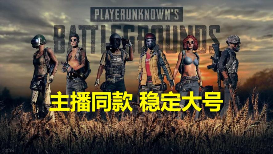 吃鸡辅助卡盟