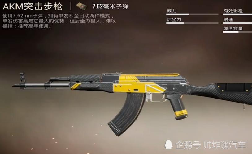 绝地求生最强枪配
