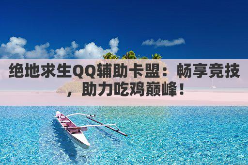 吃鸡辅助卡盟