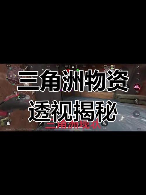 三角洲行动物资透视